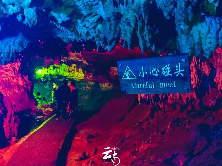 元UP、海豚,新的内卷么?