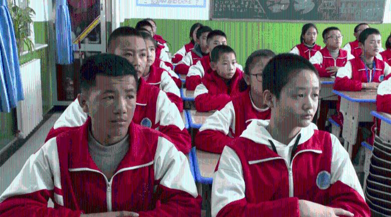 僵尸辨色球