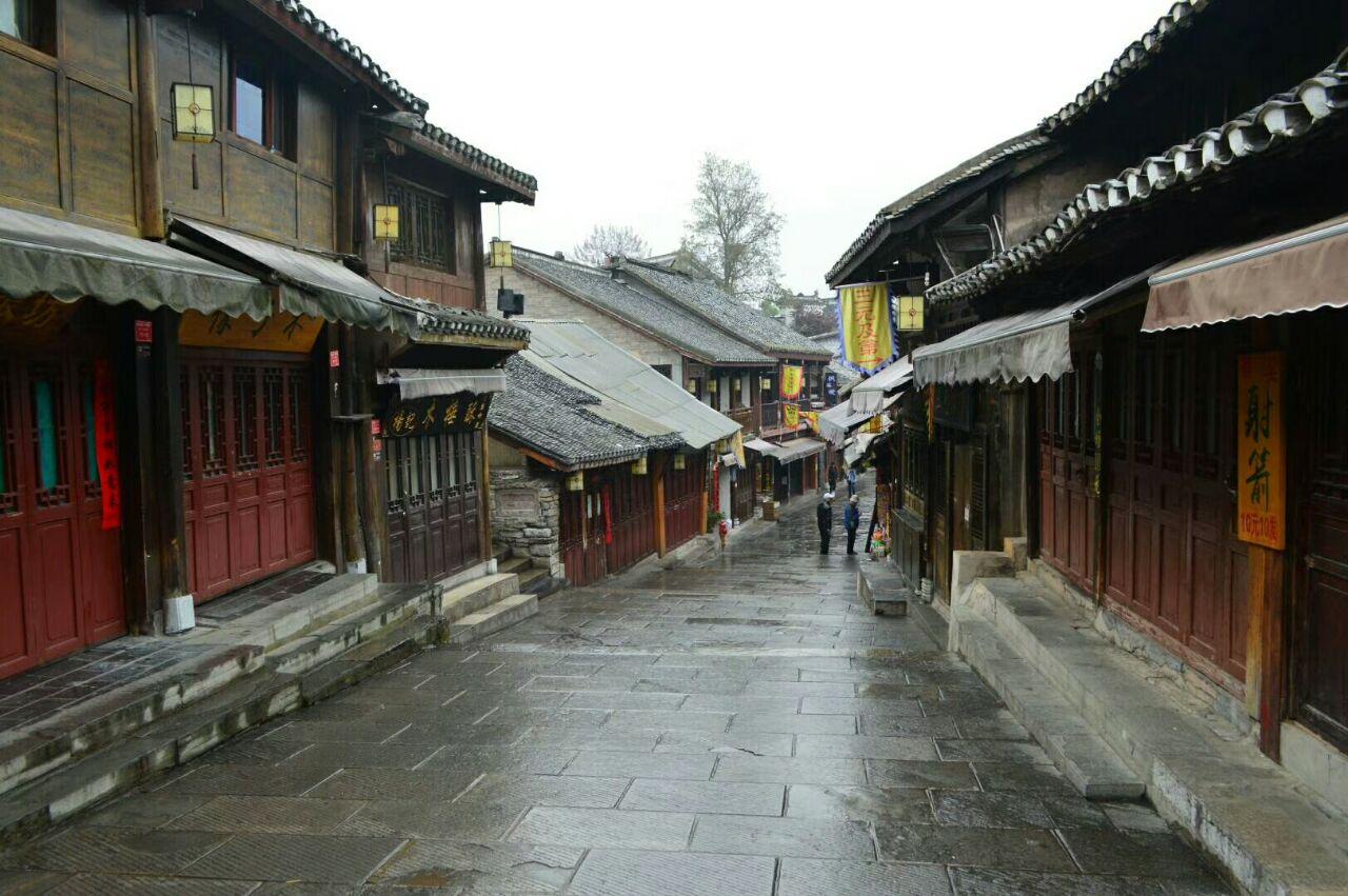 她将孩子当精神分析对象,儿子坠崖“自杀”,女儿与她反目成仇